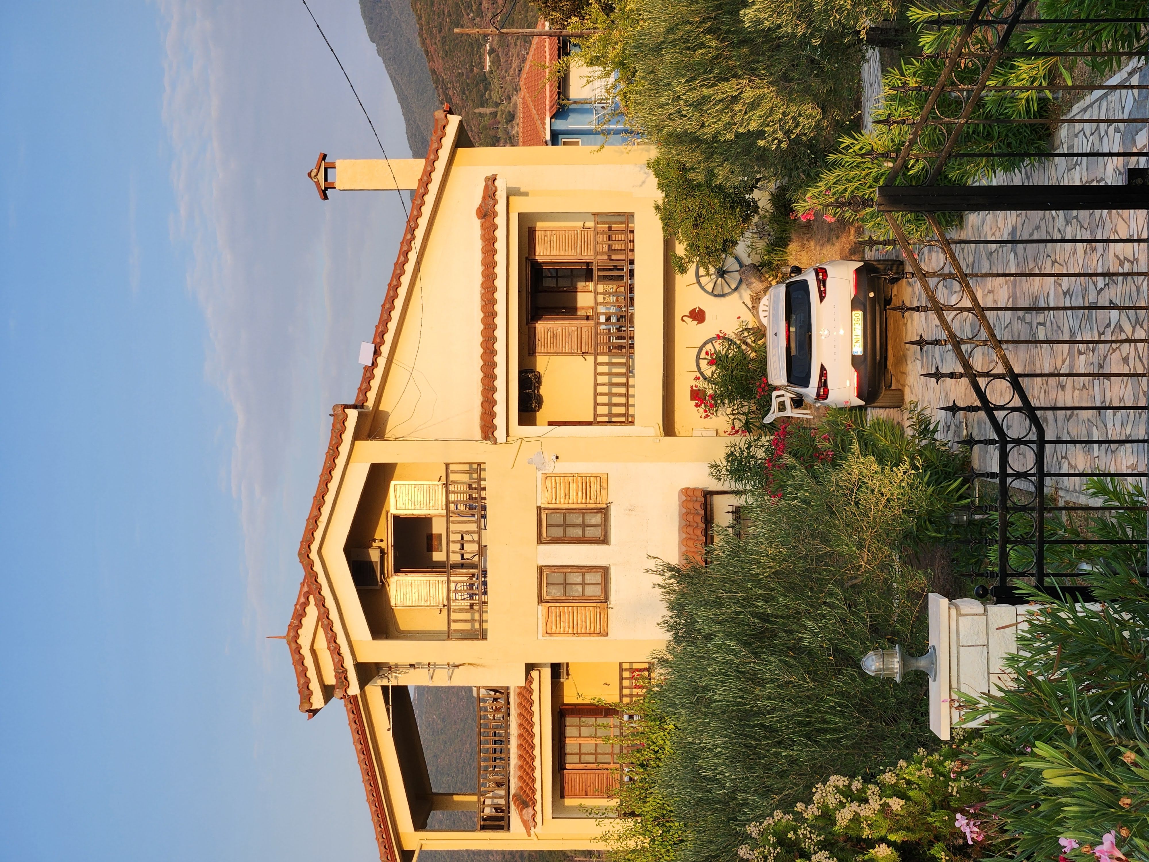 House surrounded with olives & grapes